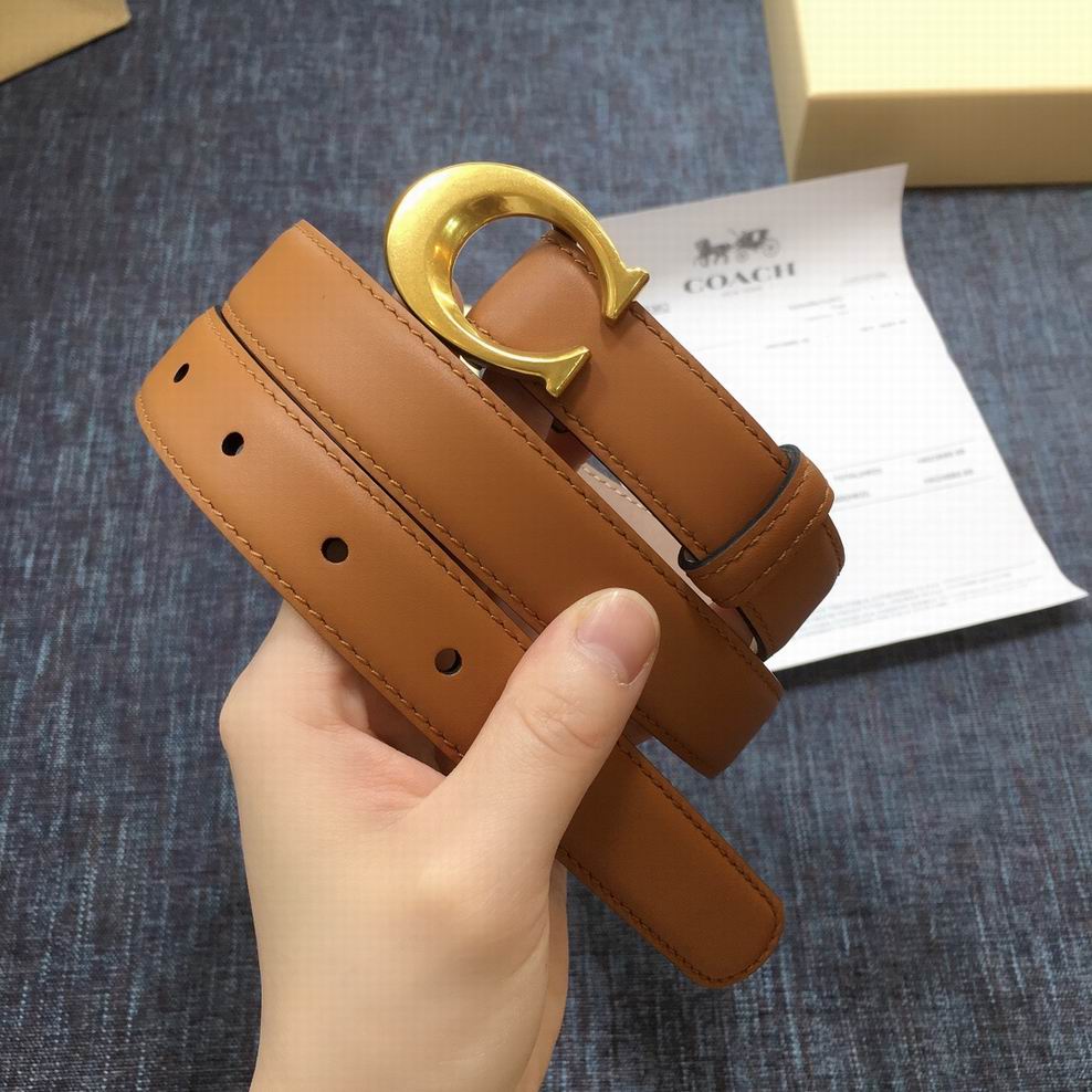 High quality designer replica handbags wholesale Coach-b001